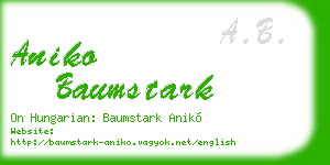 aniko baumstark business card